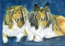 Collies, Pastellkreide, 30x40cm