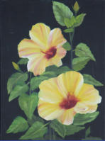 Gelber Hibiskus, l, 30x40cm