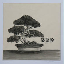 Bonsai 1, Kohle, 56x56cm