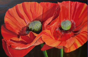 Groer Mohn, Acryl, 100x120cm